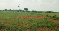4 vacant plots for sale in 26th cent A.Ramalingapuram Near Rajapalayam