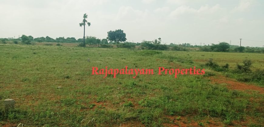 4 vacant plots for sale in 26th cent A.Ramalingapuram Near Rajapalayam