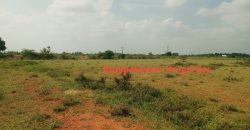 4 vacant plots for sale in 26th cent A.Ramalingapuram Near Rajapalayam