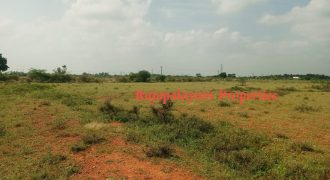 4 vacant plots for sale in 26th cent A.Ramalingapuram Near Rajapalayam
