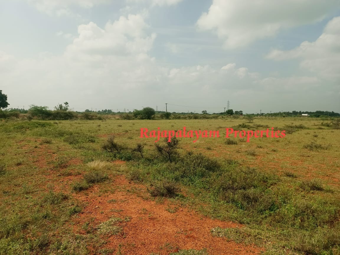 4 vacant plots for sale in 26th cent A.Ramalingapuram Near Rajapalayam
