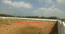 Vacant land for sale in 56th cent A.Ramalingapuram Near Rajapalayam
