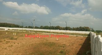 Vacant land for sale in 56th cent A.Ramalingapuram Near Rajapalayam