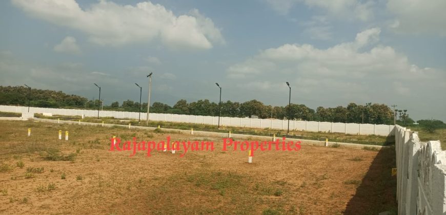 Vacant land for sale in 56th cent A.Ramalingapuram Near Rajapalayam