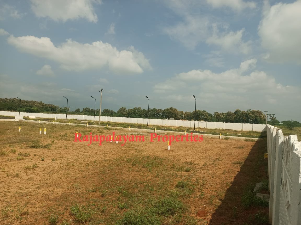 Vacant land for sale in 56th cent A.Ramalingapuram Near Rajapalayam