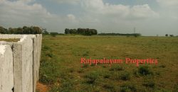 Vacant land for sale in 56th cent A.Ramalingapuram Near Rajapalayam