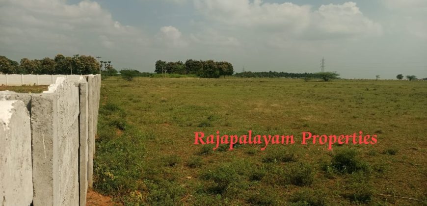 Vacant land for sale in 56th cent A.Ramalingapuram Near Rajapalayam
