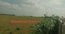 Vacant land for sale in 56th cent A.Ramalingapuram Near Rajapalayam