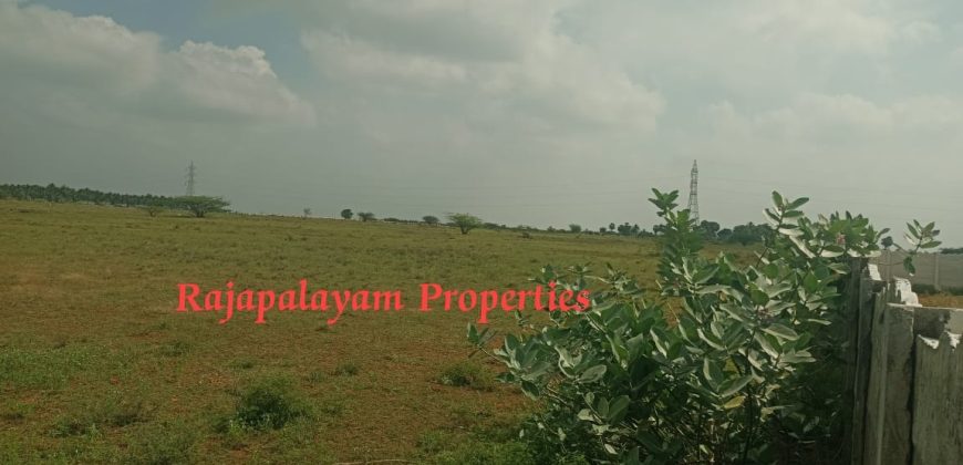 Vacant land for sale in 56th cent A.Ramalingapuram Near Rajapalayam