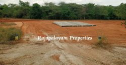 2 vacant plots for sale in 23 Cent, Ramco College Near, Rajapalayam