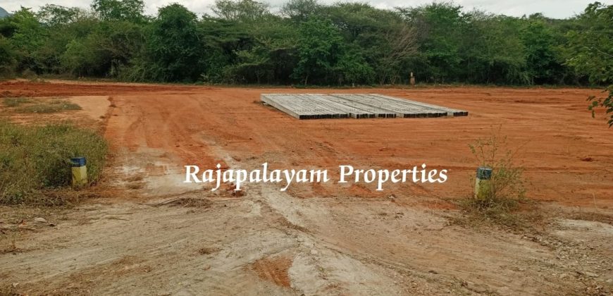 2 vacant plots for sale in 23 Cent, Ramco College Near, Rajapalayam