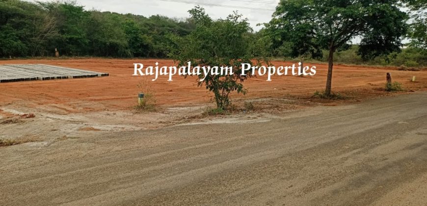 2 vacant plots for sale in 23 Cent, Ramco College Near, Rajapalayam