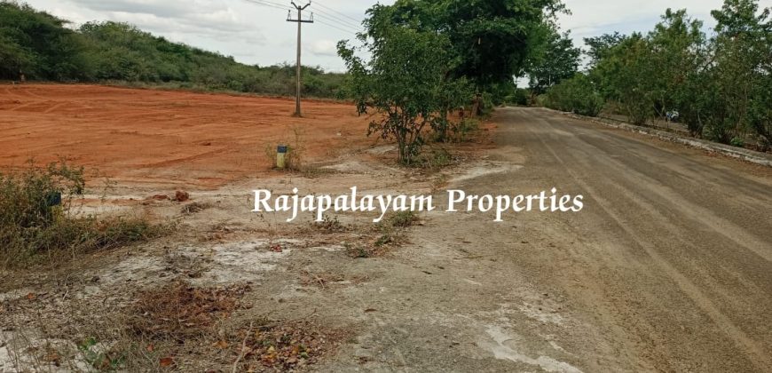 2 vacant plots for sale in 23 Cent, Ramco College Near, Rajapalayam