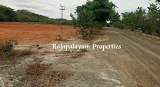 2 vacant plots for sale in 23 Cent, Ramco College Near, Rajapalayam