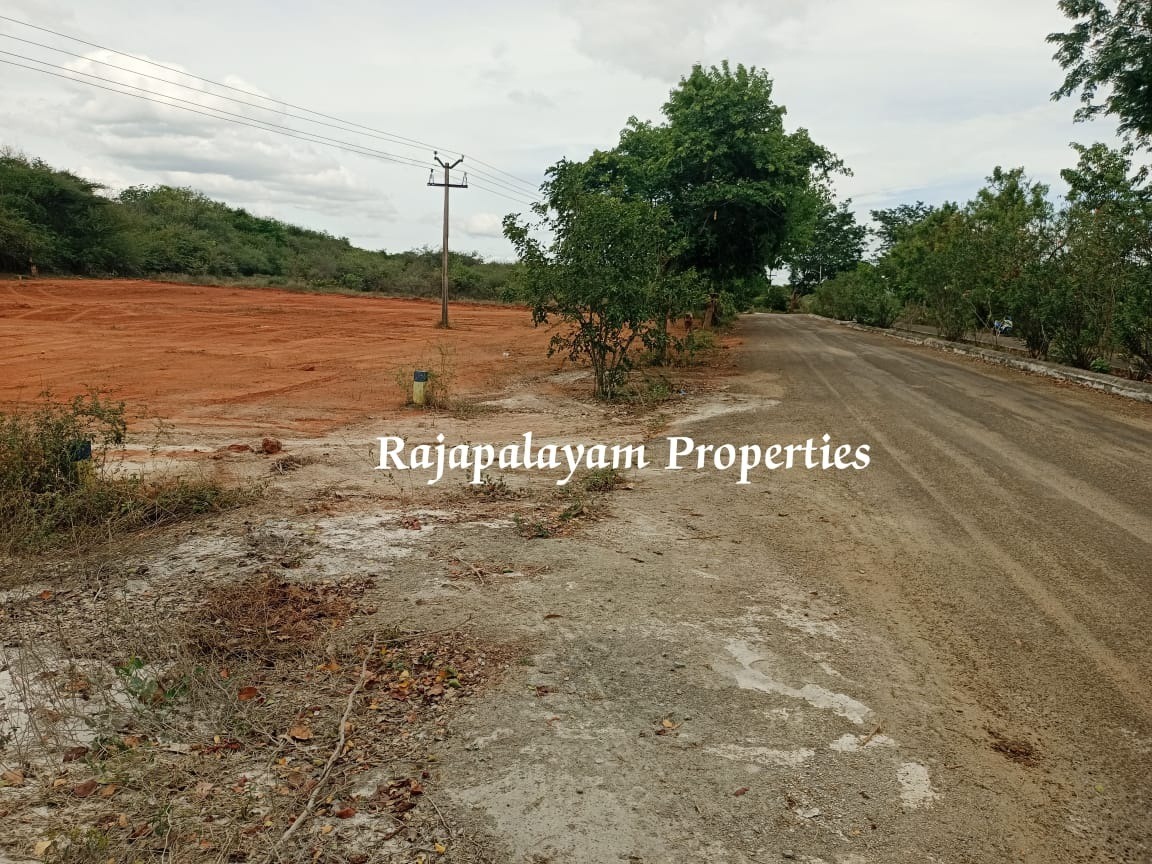 2 vacant plots for sale in 23 Cent, Ramco College Near, Rajapalayam
