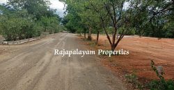 2 vacant plots for sale in 23 Cent, Ramco College Near, Rajapalayam