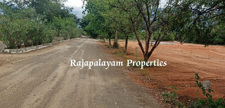 2 vacant plots for sale in 23 Cent, Ramco College Near, Rajapalayam