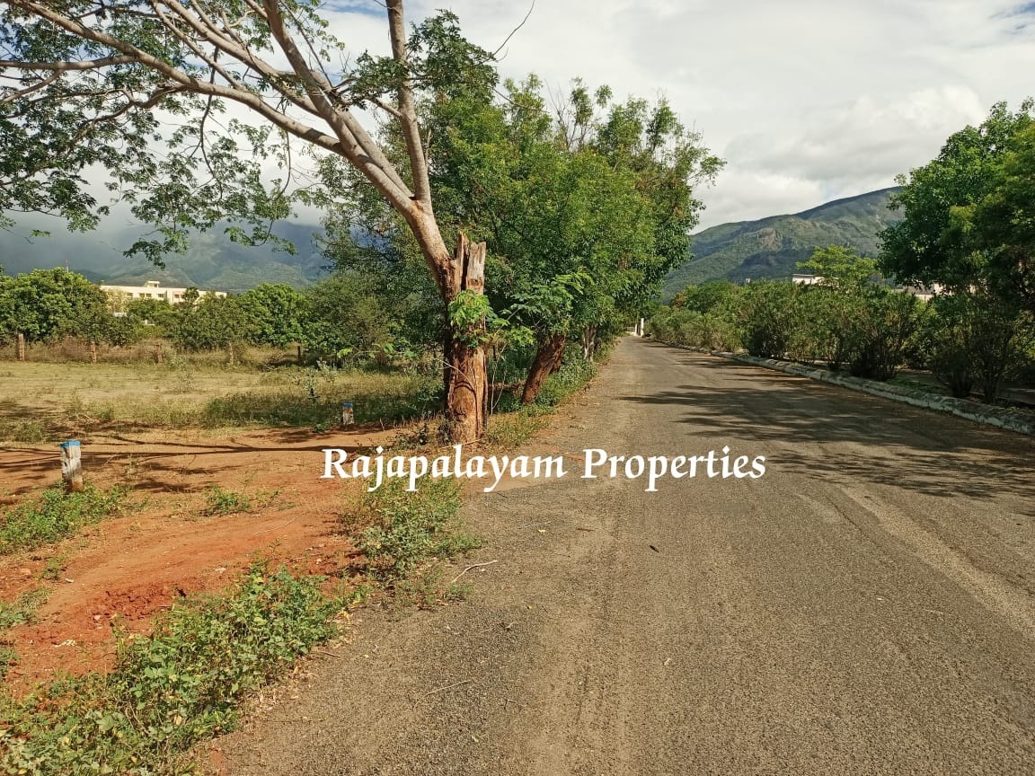 3 – 3.60 cents 6 vacant plots for sale Ramco College Near Rajapalayam