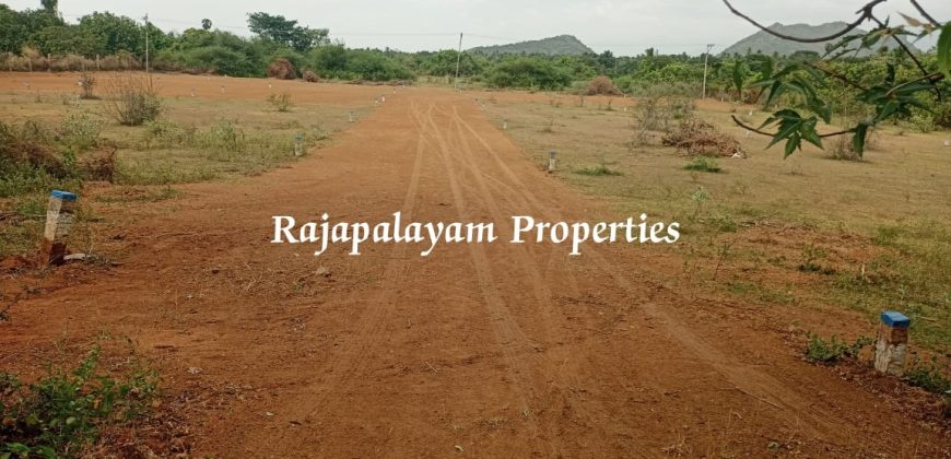 3 – 3.60 cents 6 vacant plots for sale Ramco College Near Rajapalayam