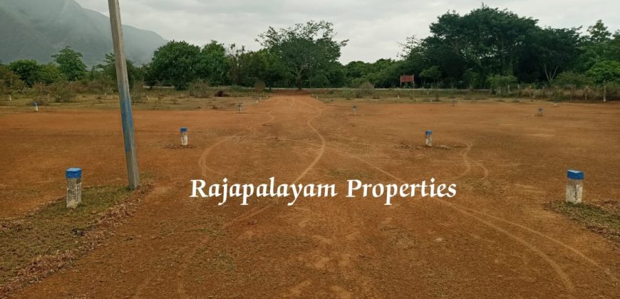 3 – 3.60 cents 6 vacant plots for sale Ramco College Near Rajapalayam