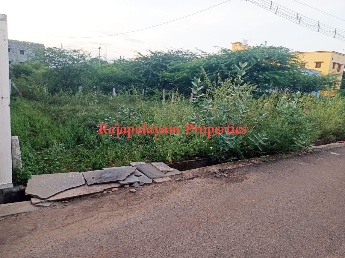 5.15 cent vacant land for sale RR Nagar (Ramana School) Near Rajapalayam