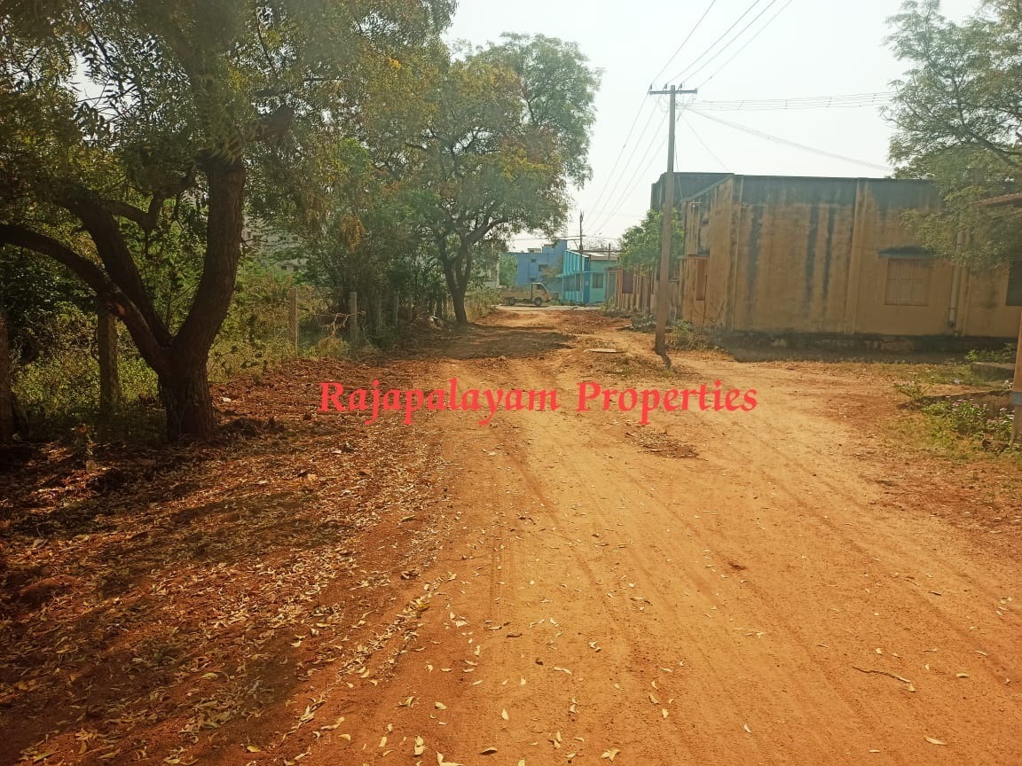 2 vacant plots for sale in 6.90 cents RR Nagar (Ramana School) Near Rajapalayam